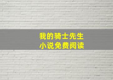 我的骑士先生 小说免费阅读